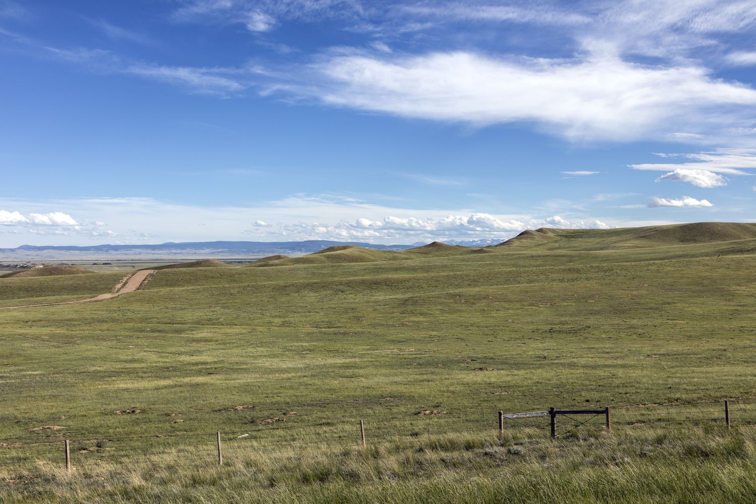 Grass and hillocks of the Laramie Plain along the Snowy Range Road.