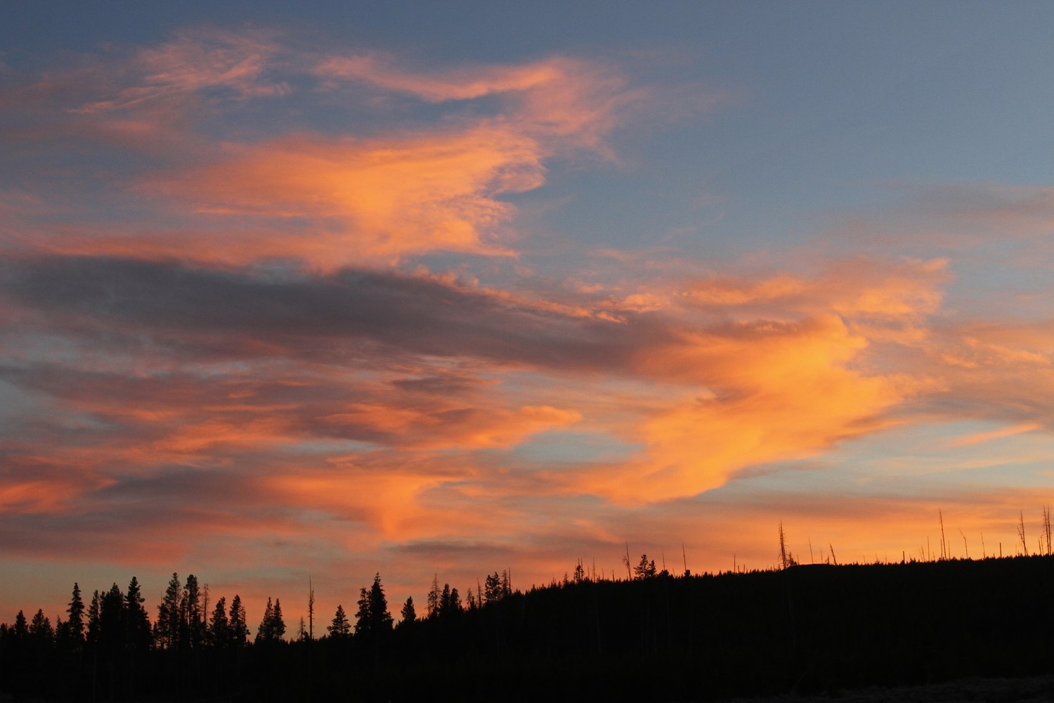 Sunset over the meadow of Swan Lake Flat.