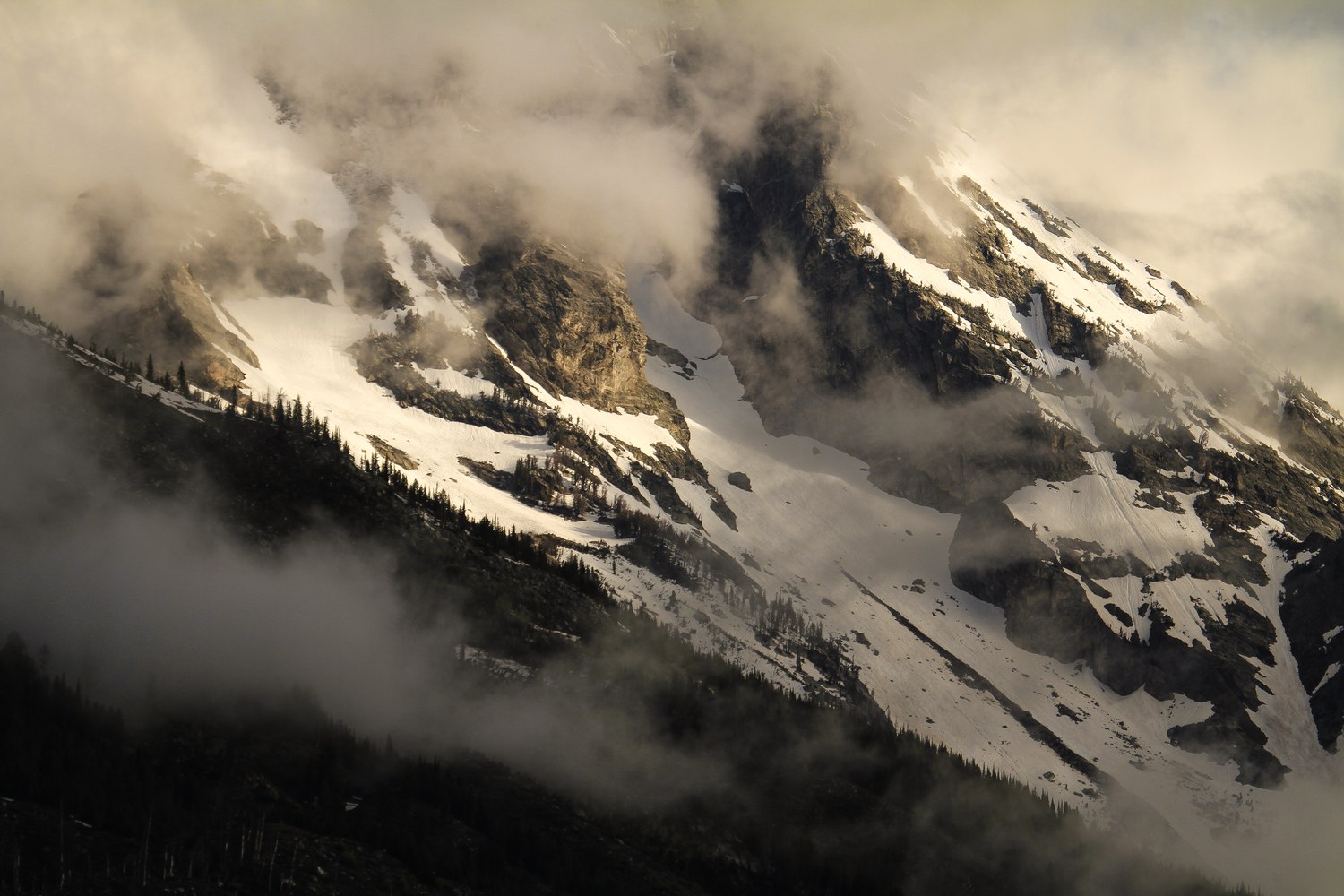 The Teton Range across the valley floor.
